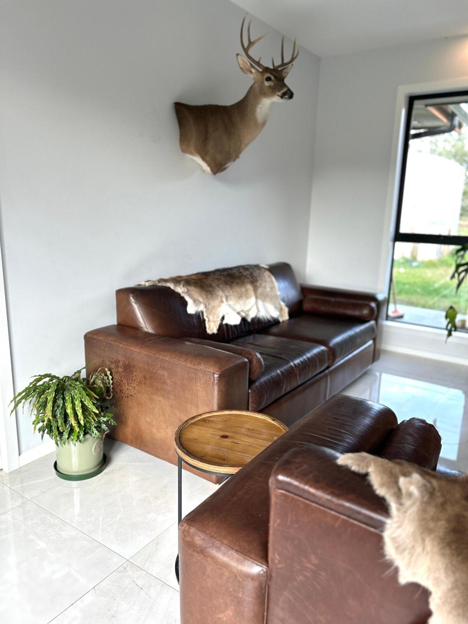 Tarras Serenity Haven - Mountain Views And Calm 외부 사진